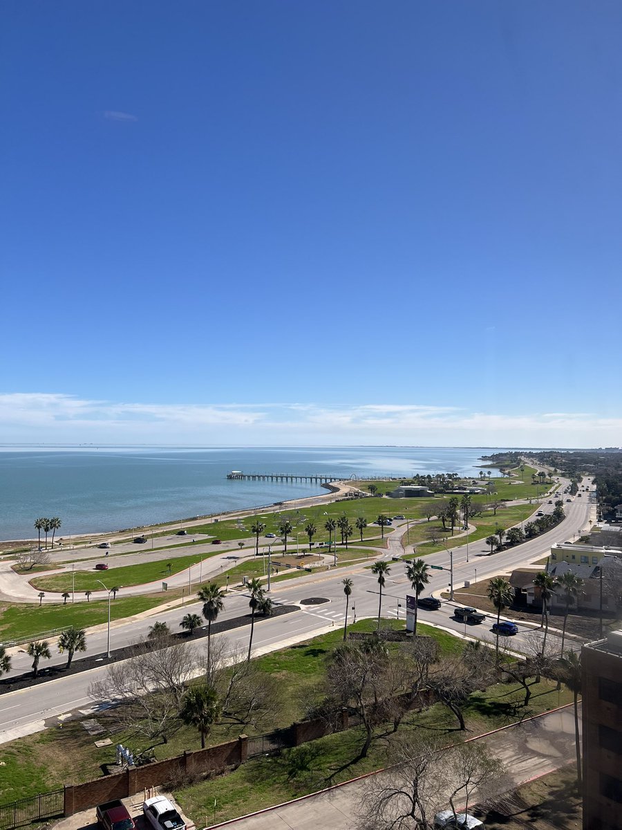 CCEMRP's tweet photo. January in Corpus Christi ☀️ https://t.co/XghYIWcu5i