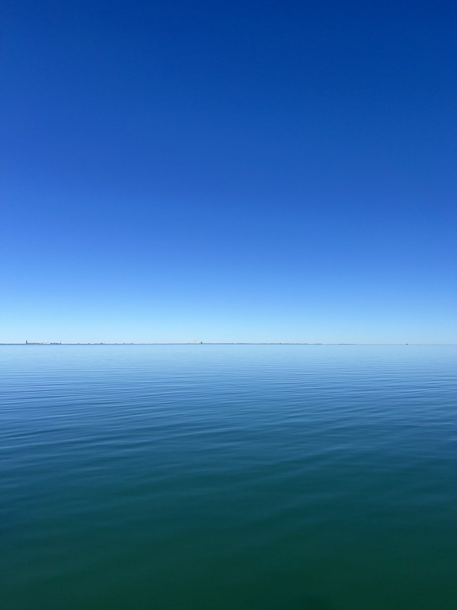 CCEMRP's tweet photo. January in Corpus Christi ☀️ https://t.co/XghYIWcu5i