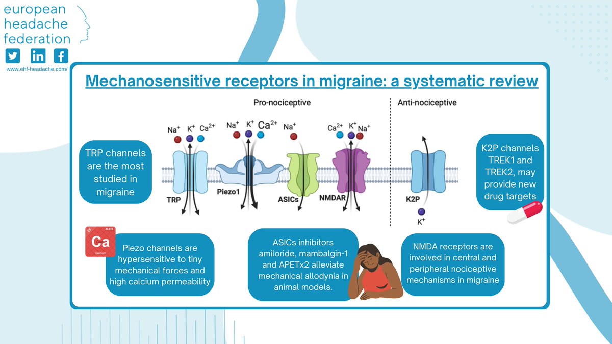 EHF_Official's tweet photo. A new systematic review identified key molecular players and uncovered significant gaps in our understanding of mechanotransduction in migraine. This offers a foundation for filling these gaps and suggests novel therapeutic options for migraine treatments: https://t.co/LjZfsIl9Se https://t.co/GeN0kykfy3