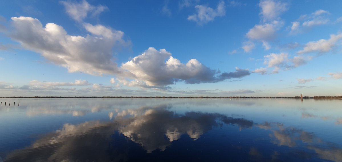 Het water van de Westeinderplassen is op een heldere dag met weinig wind net een spiegel!🪞

Vastgelegd vanaf de Loswal in Kudelstaart door Petra de Kok.