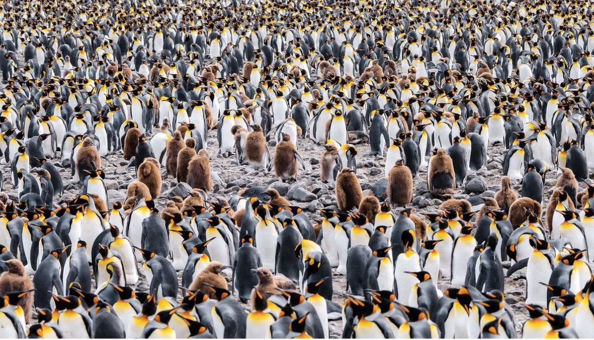 Rachel Suzanne Tien Wood tweet media