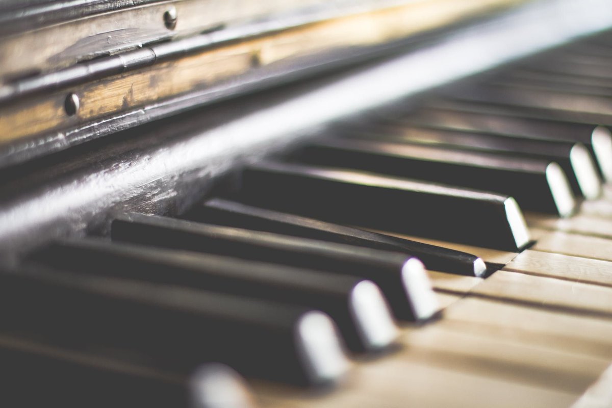 jadinearnold's tweet image. Teach Yourself Piano: A Joyful Journey in Keys and Chords buff.ly/3HIjRz5
Learn Piano: Embark on a delightful musical journey exploring keys and chords. 🎹🎶 Discover the joy of playing the piano with this comprehensive guide. #pianolessons #musiceducation