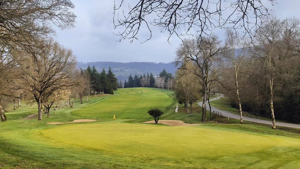 ElsoAyala's tweet photo. Meses duros pero el increíble trabajo del equipo de #greenkeeping #GolfUlzama ha hecho posible que podamos disfrutar de un campo limpio, ordenado, greenes firmes, rápidos y una rodadura de bola que son el plato fuerte de #GolfUlzama ⛳🔝👌#SportTurf #GoodJobTeam💪 #golfnaturaleza https://t.co/sTG2Tk0DQF