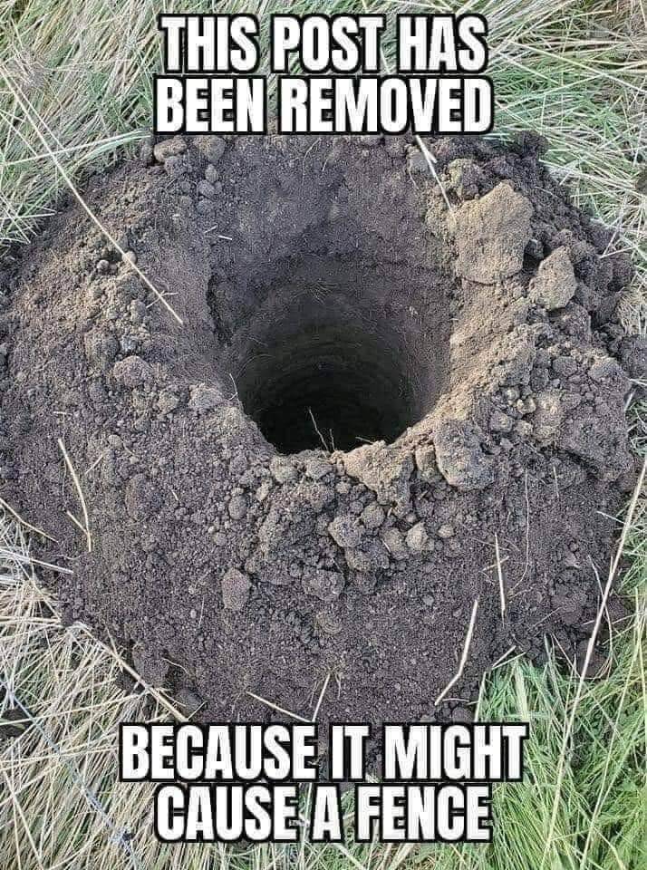 ThorDeplorable's tweet photo. @flowerwhs1968 https://t.co/VJFZ9l7AFJ