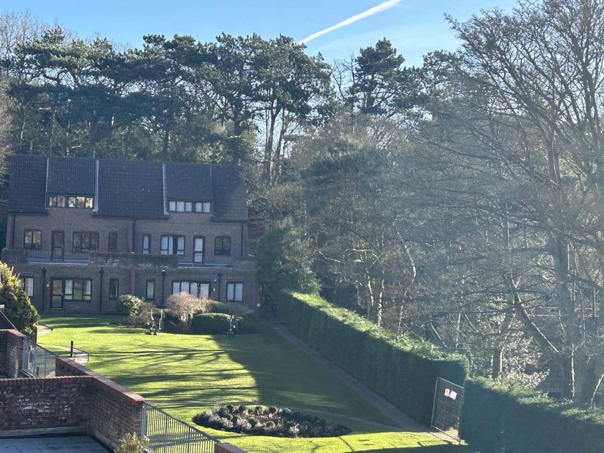 Kelly Howe tweet media