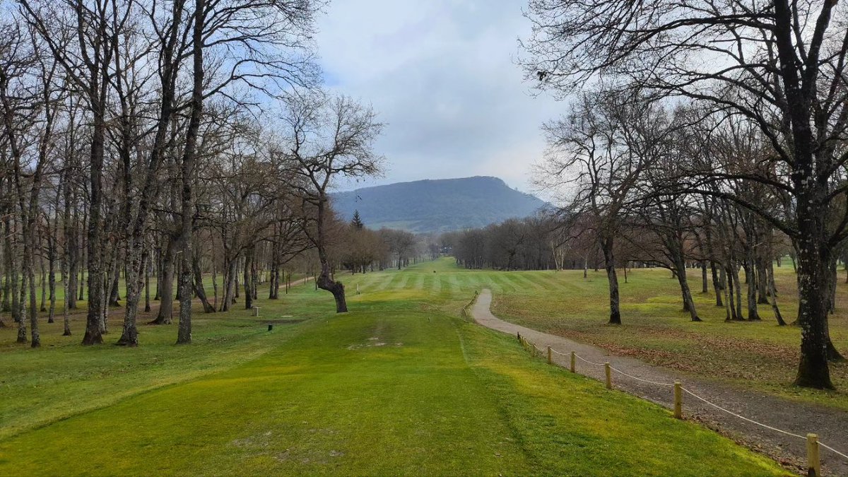 ElsoAyala's tweet photo. Meses duros pero el increíble trabajo del equipo de #greenkeeping #GolfUlzama ha hecho posible que podamos disfrutar de un campo limpio, ordenado, greenes firmes, rápidos y una rodadura de bola que son el plato fuerte de #GolfUlzama ⛳🔝👌#SportTurf #GoodJobTeam💪 #golfnaturaleza https://t.co/sTG2Tk0DQF