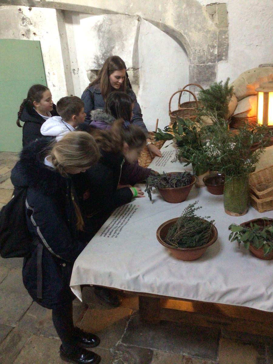 Year 5 at Brindley Heath tweet media