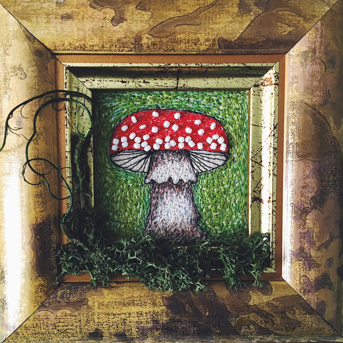 Thread drawn fungi 👁🍄👁