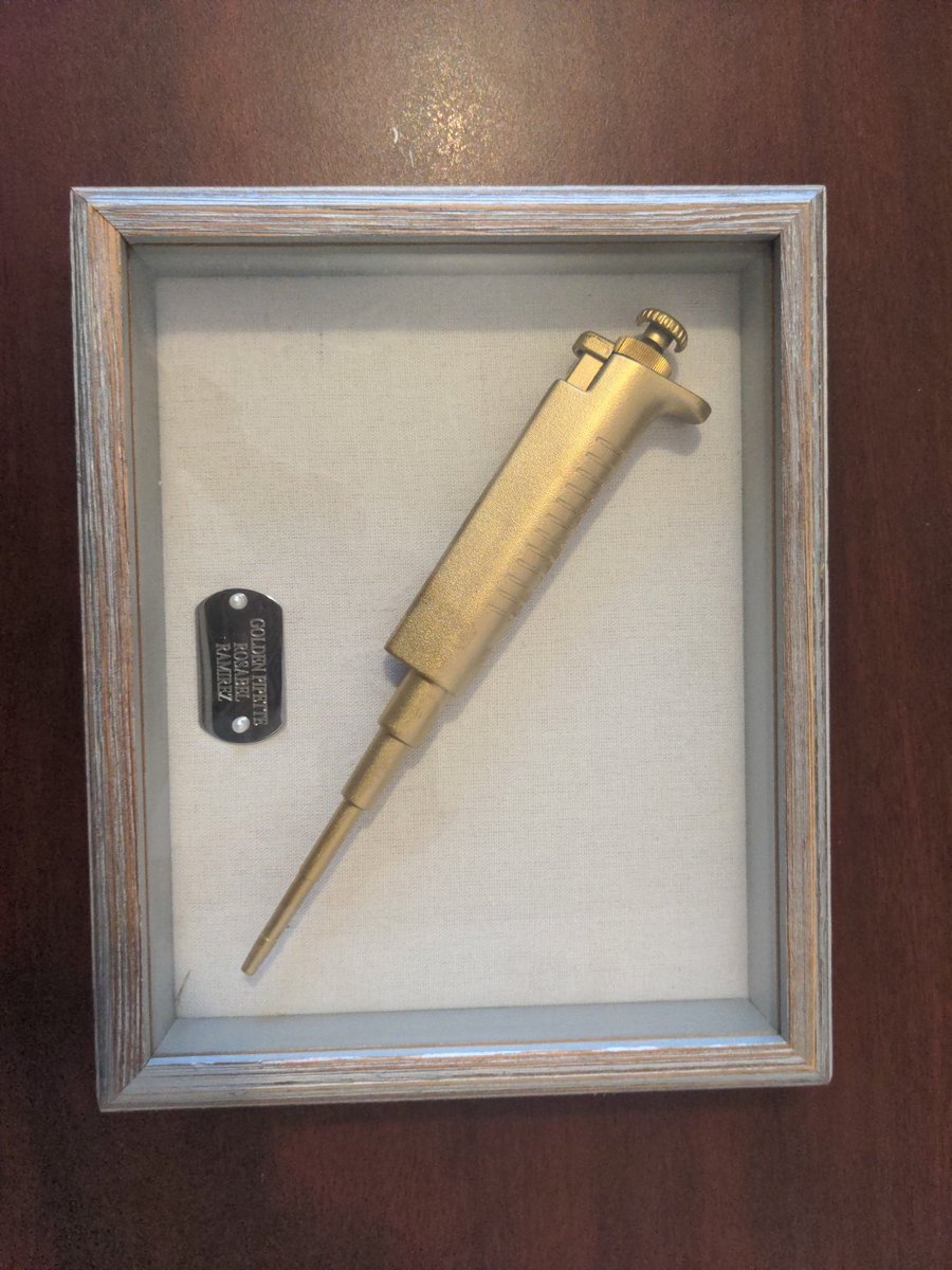 Rosabel Ramirez tweet media