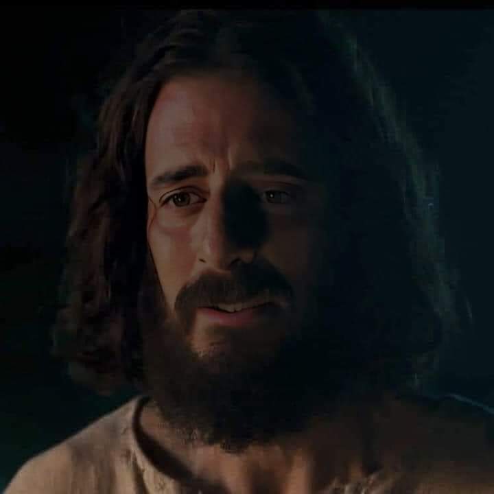 كَمَا فَعَلْتَ يُفْعَلُ بِكَ. عَمَلُكَ يَرْتَدُّ عَلَى رَأْسِكَ
(عو 1: 15)🤍