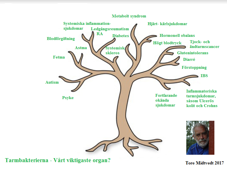 Neuropedagogen's tweet photo. #WorldRenowned #IntestinalResearchers have shown that #toxins (ex #vaccines) & #deficiencies develop a depleted #IntestinalFlora/#microbiome - #ProcessedDiets as well as #NonSpeciesSpecificFoods such as #casein & #gluten risk developing even more #imbalance so-called #dysbiosis. https://t.co/3eEwG3jjEJ