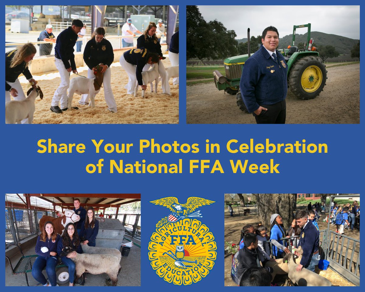 CAFarmBureau's tweet image. Join California Farm Bureau in celebrating National FFA Week by sharing photos from your past or present FFA days by February 16. 

The first 50 participants will receive a 2024 California Farm Bureau Calendar. 

Submit your photos here: bit.ly/3OssvW9