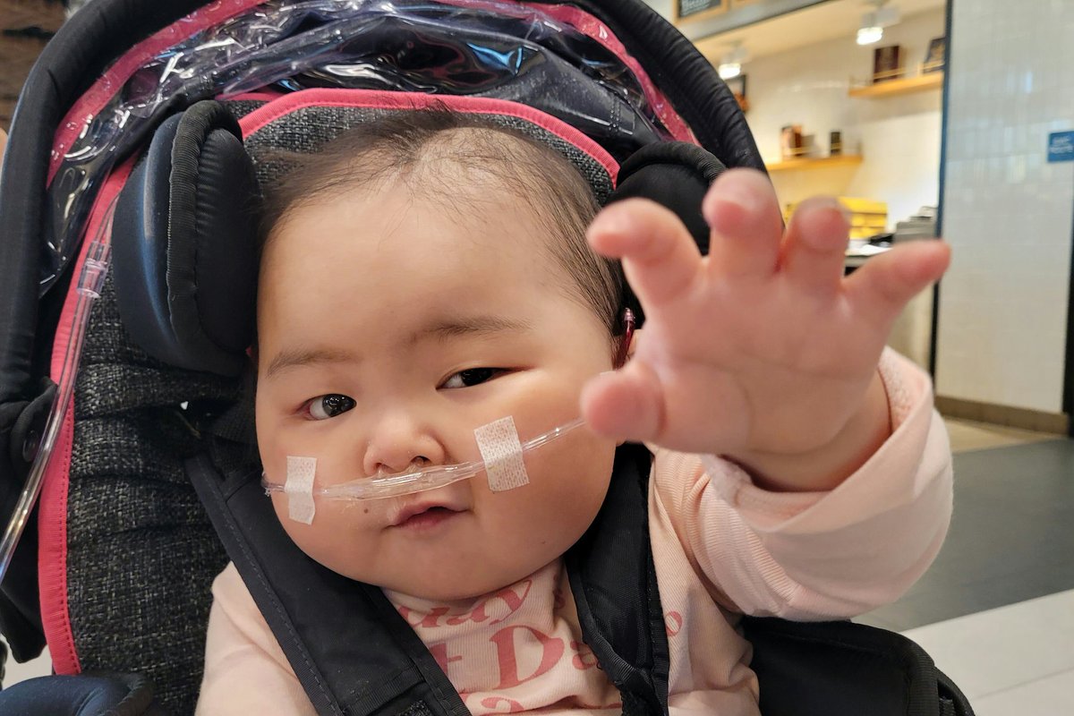 "Gimme potato ball."

#northridge #portosbakeryandcafe #potatoball #paparellena #feedme #warriorprincess #cancerfree #cancersurvivor