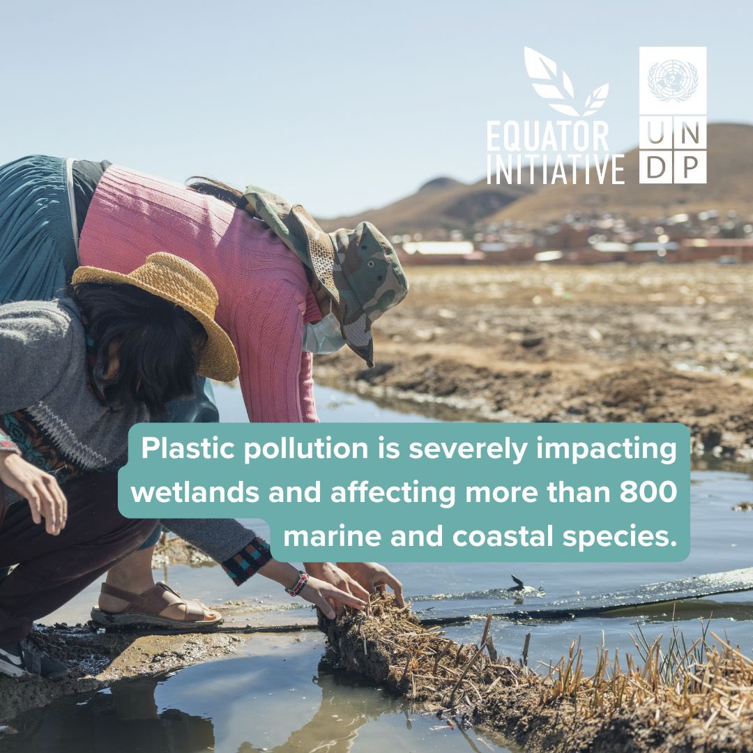 Francine Pickup tweet media