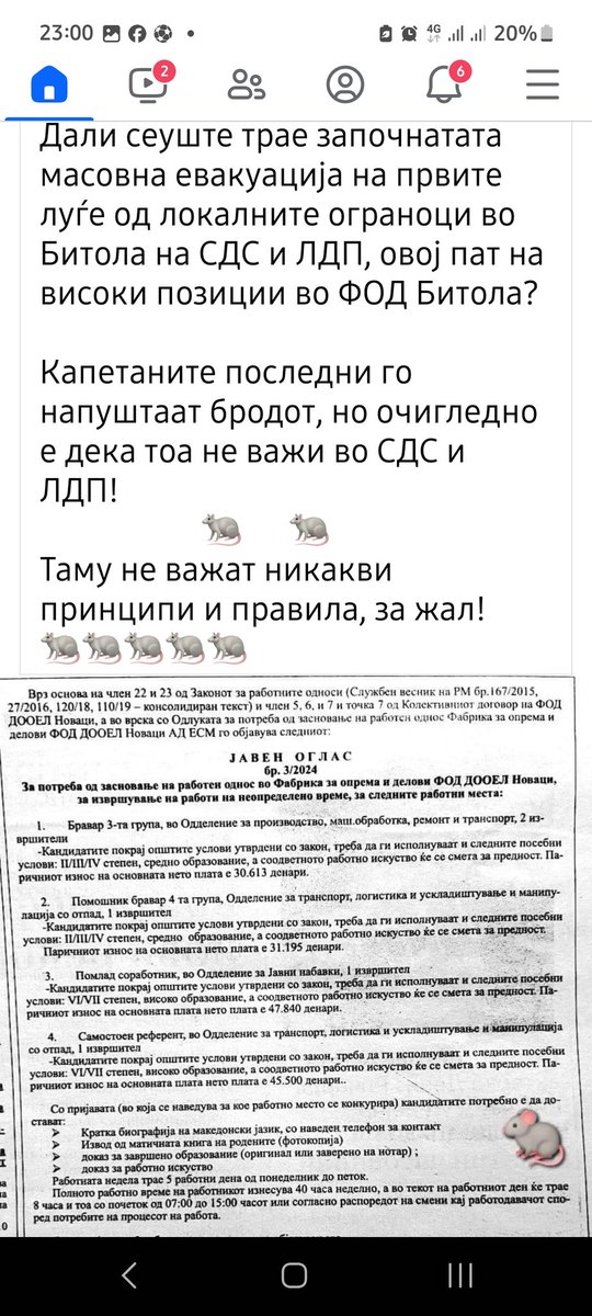 Пацови на све стране....