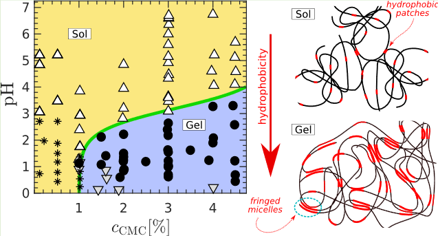 DivouxLab's tweet photo. 🎉Gauthier's masterpiece is out in @ACSMacroLett 👉https://t.co/y6VkOgE64S Acid-induced #Gelation of carboxymethyl #cellulose suspension scrutinized by #Rheometry, USANS, and low-field #NMR! Collab. w/ G.P. Baeza @insadelyon &amp; L. Porcar @ILLGrenoble cc @CNRSphysique @ENSdeLyon https://t.co/BqtHOnAgPV
