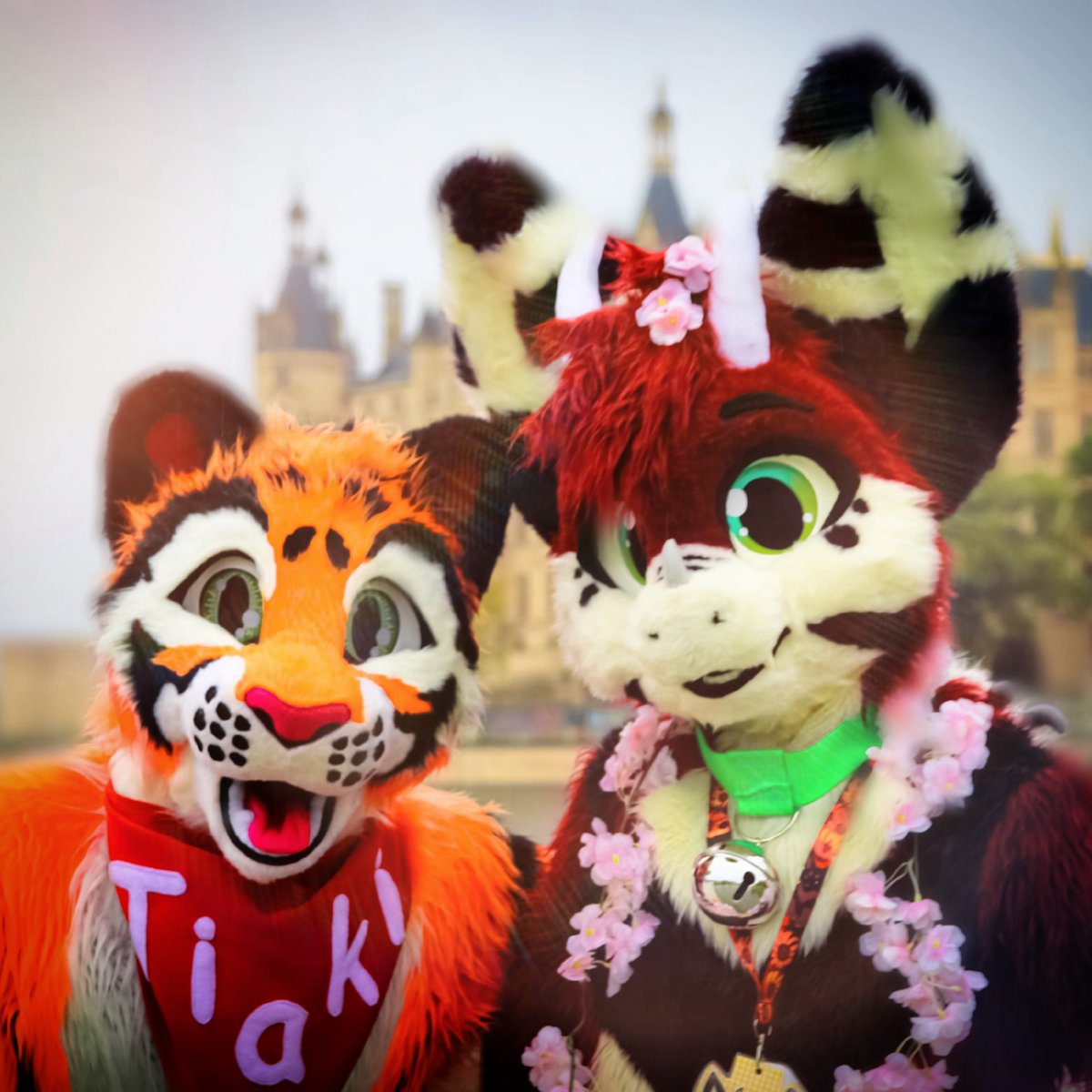 Tiaki Tiger (Betelgeuse) and @Naki_Jace in Schwerin / Germany
Photo by @Orion_Dornklaue
#furry #furries #furryfandom #furrycommunity #tiaki #tiger #fursuit #naki #schwerin