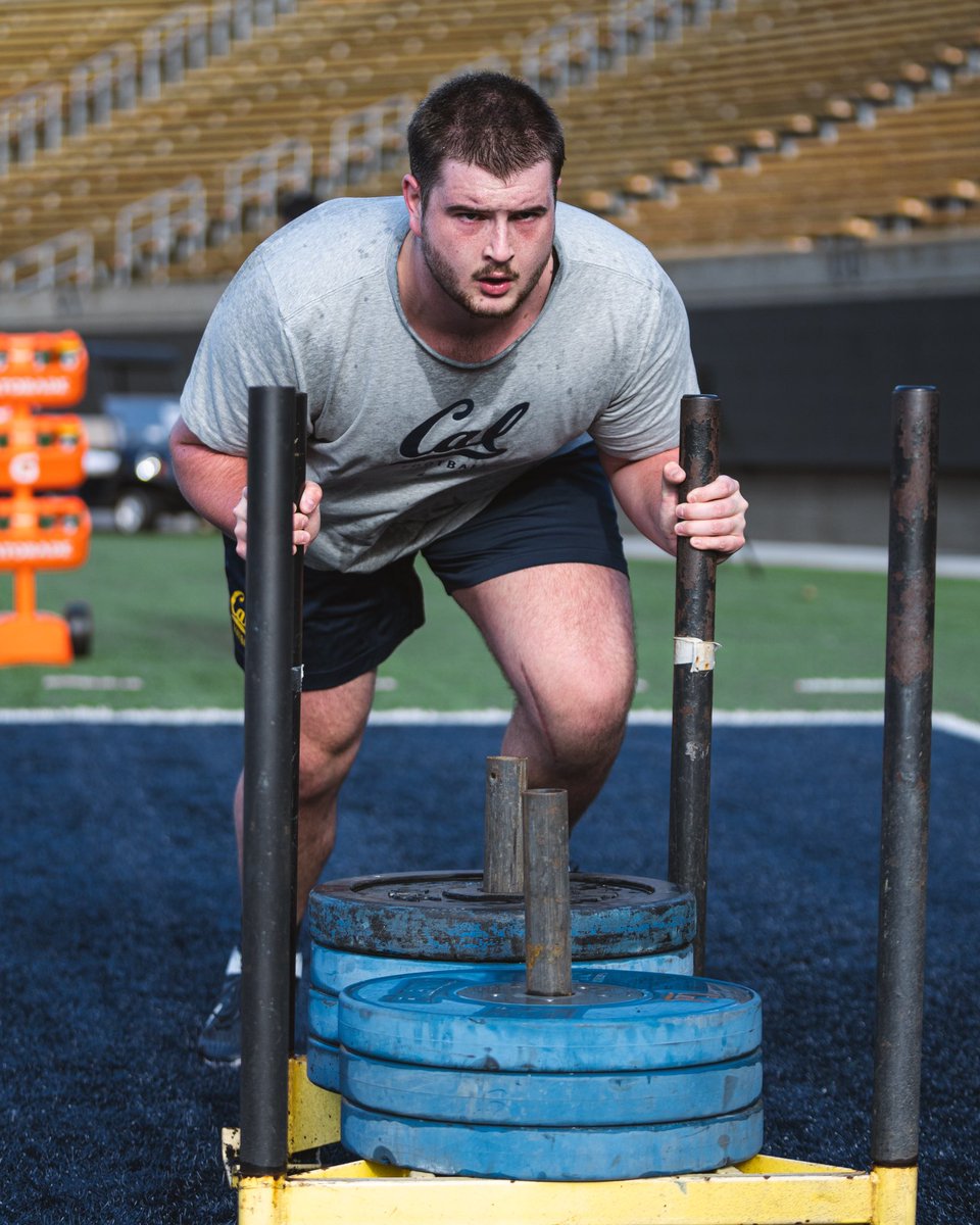 Another day in the office 💪 #GoBears | #ALLIN