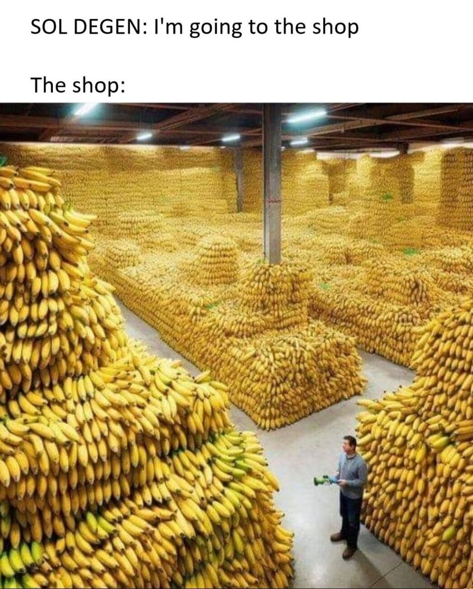 Dancing Banana Sol tweet media