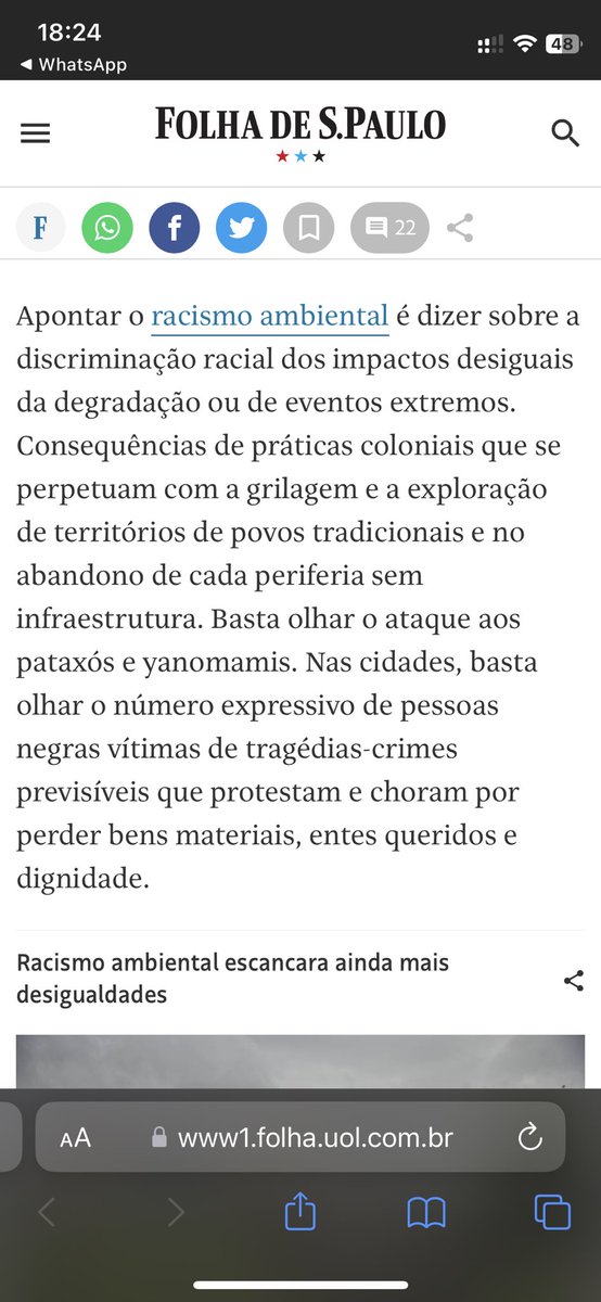 Ana Sanches tweet media