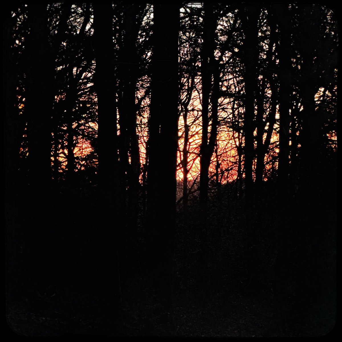 Halfway between Yule and Ostara, solstice and equinox, the sun sets on Imbolc - while the seeds of spring are stirring in the womb of mother Earth. 
Respecting the cycle of the seasons, the position of Earth in the solar system and the place of humans within nature - these points