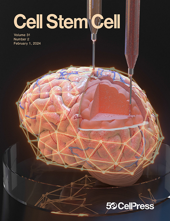 DrWillerth's tweet photo. Now with cover art! Check out my commentary on #3dprinting #brains 
https://t.co/ssB1pTLF7x https://t.co/CUCDUeUHKe