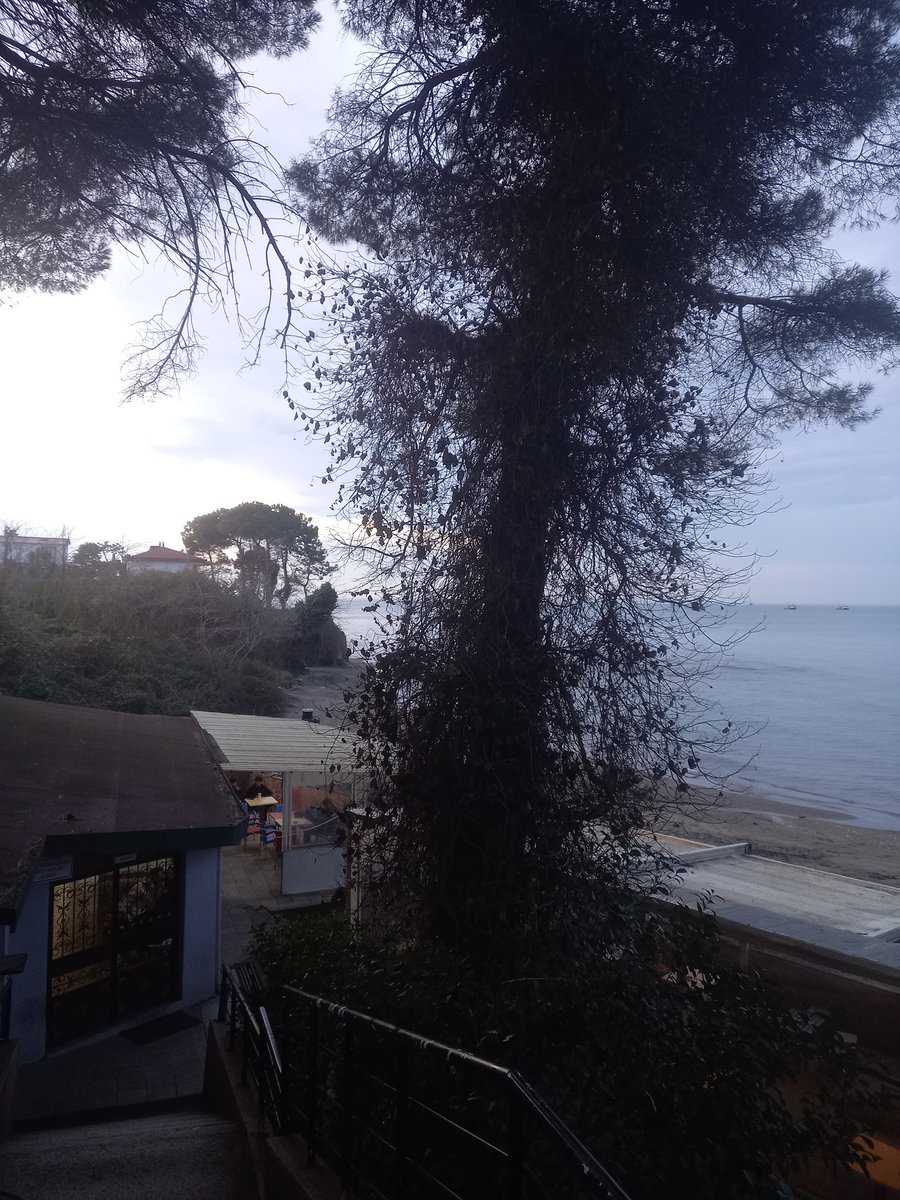 Tr'nin net en iyi kantini