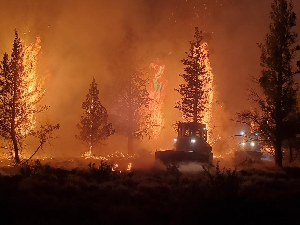 YEAR-ROUND JOB OPENINGS IN CENTRAL OREGON Wildland Fire Supervisor - The Dalles Natural Resources Specialist 1 - The Dalles Perm Forest Officer - Fossil Wildland Fire Supervisor - Sisters Check them out and all our seasonal positions at the link below! odfcentraloregon.com/jobs/