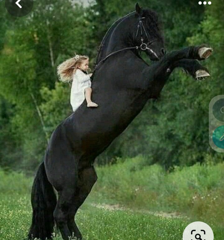 kokpatrick59's tweet photo. @Demi1496  🙂 @Jacqlin28 🥰
#TerugVolgVrijdag🤔🙂🫶🥰🌹
#HetPaardeMeisje✔️🫂❤️🌟💥☘️🥇 heel knap
En #WelterustendezeNacht
Dus welterusten en slaap lekker
#Twitternight https://t.co/JS2vdUjz3o