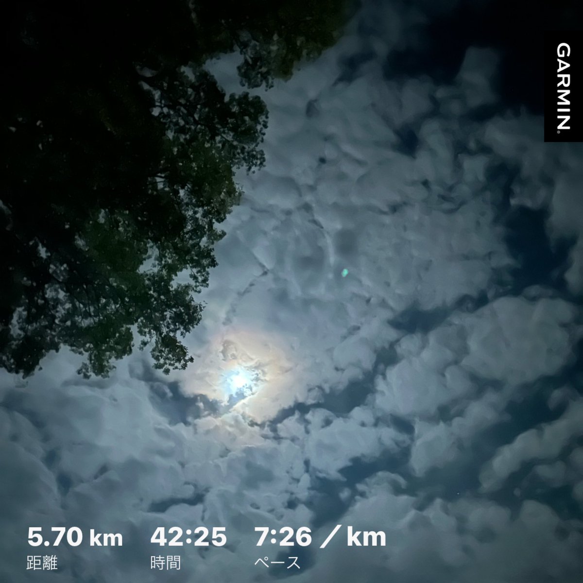 ＃朝ラン　昨日と今日で10㌔
久々に二日続けてのラン🏃‍♀️

股関節の痛みがありお休みしてた1月は125㌔

逃げる2月💨💨💨
何事にも逃げないでがんばろ✊🏻  ̖́-
と心には決めました😅

思うだけでも大事👍

今月も家業多忙のため、
少なめポストになりますが
どうぞ宜しくお願い致します☺️