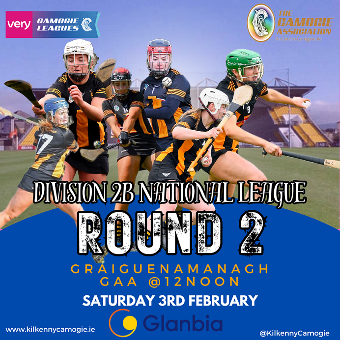 KilkennyCamogie's tweet photo. Kilkenny Intermediate team continue their League campaign this Saturday 3rd February at 12 noon in Graiguenamanagh when they play Wexford in the 2nd Round of the Very Division 2B League

Ticket Link - 
https://t.co/Z6RU0YB37a https://t.co/x6T0QKp4Du