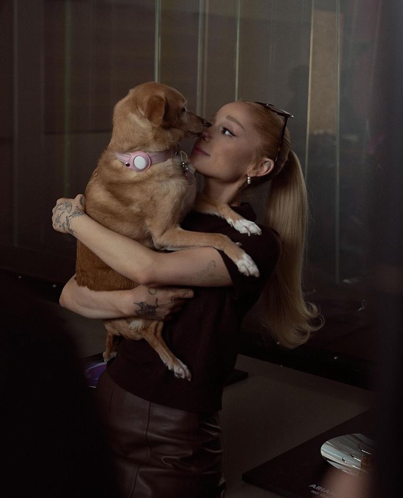 Ariana Grande France ꕤ tweet media