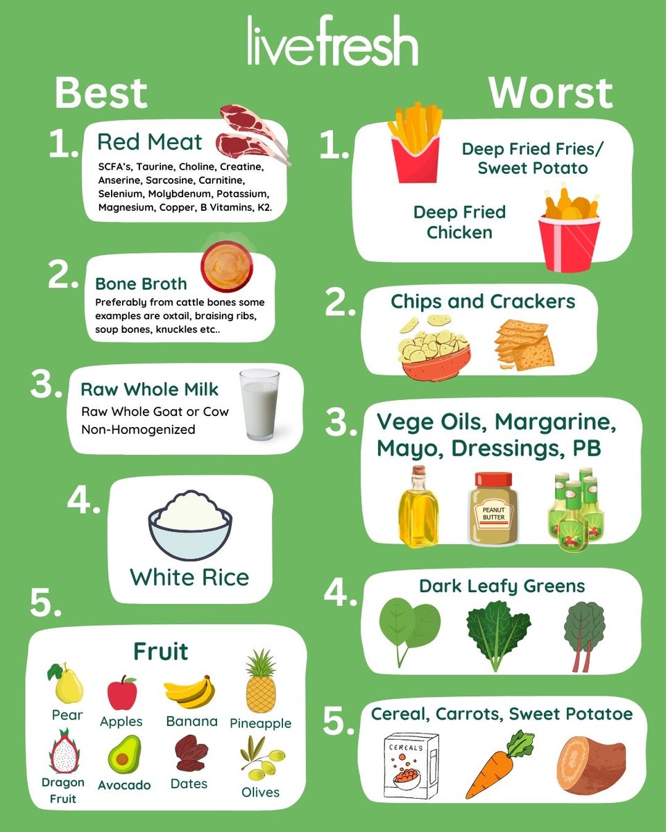 MineralChief's tweet photo. This guide is designed for our strong stomach acid, relatively small colon and single stomach digestive system. 🚨Rethink feeding children vegetable matter they are ill suited to digest. Re-post to end the confusion. #animalbased #bioavailable #nutrition #eatwell #BeyondGreens https://t.co/401BPIFyUW
