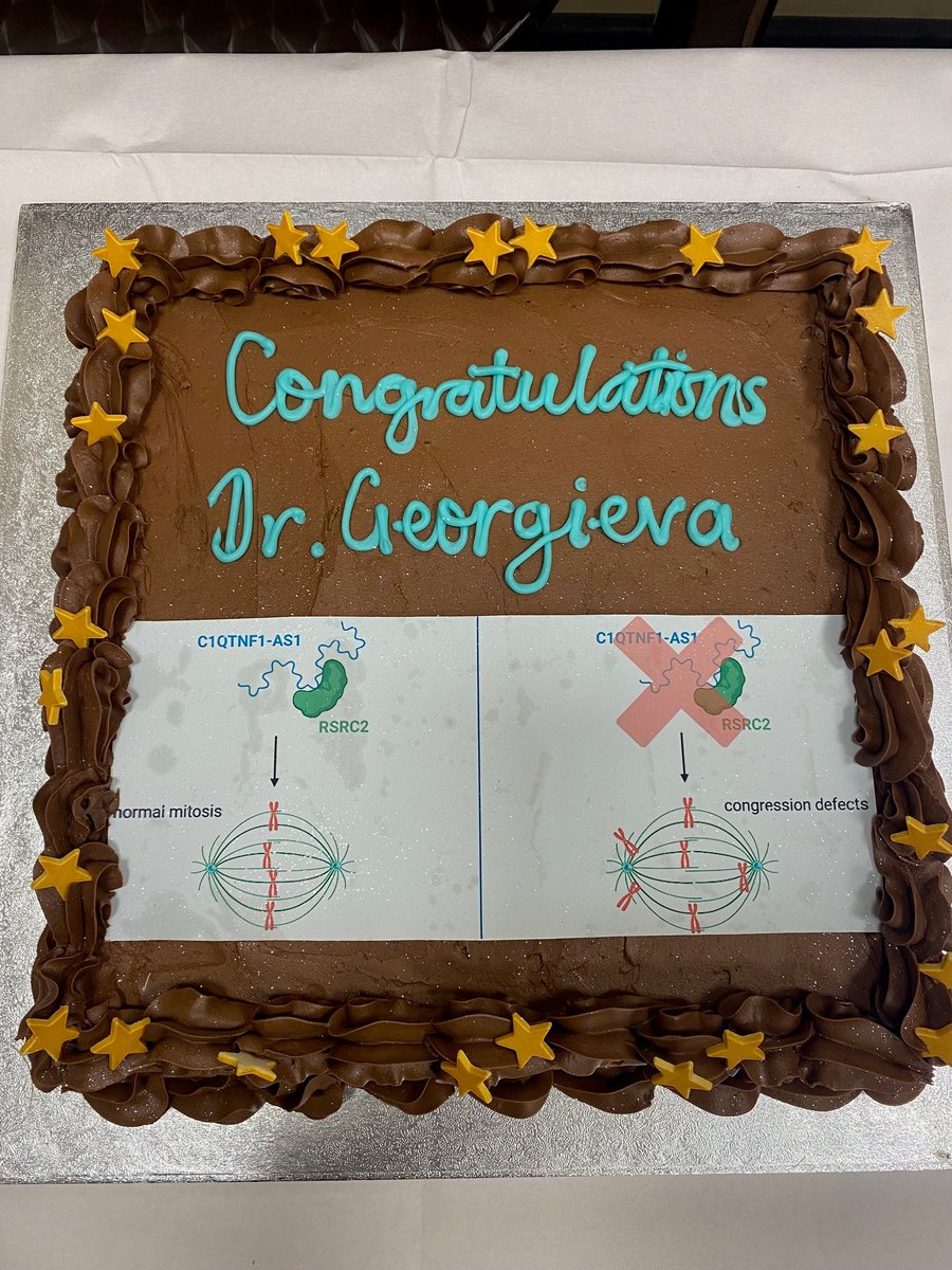 Lovorka Stojic tweet media