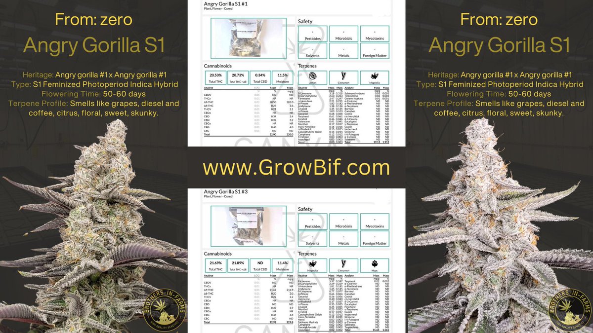 sugarleafpacks tweet media