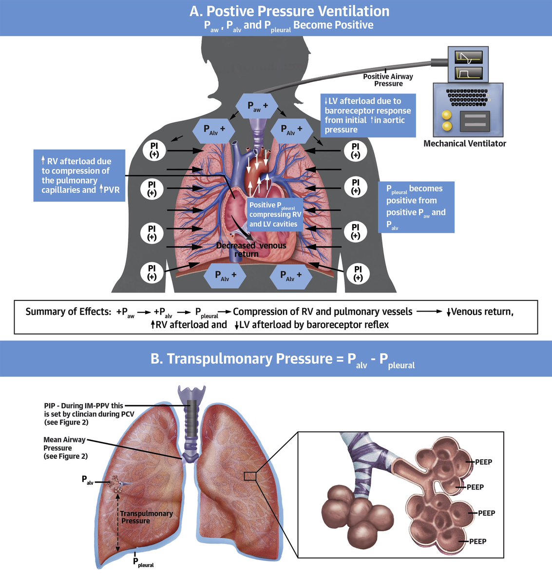 NephroP tweet picture