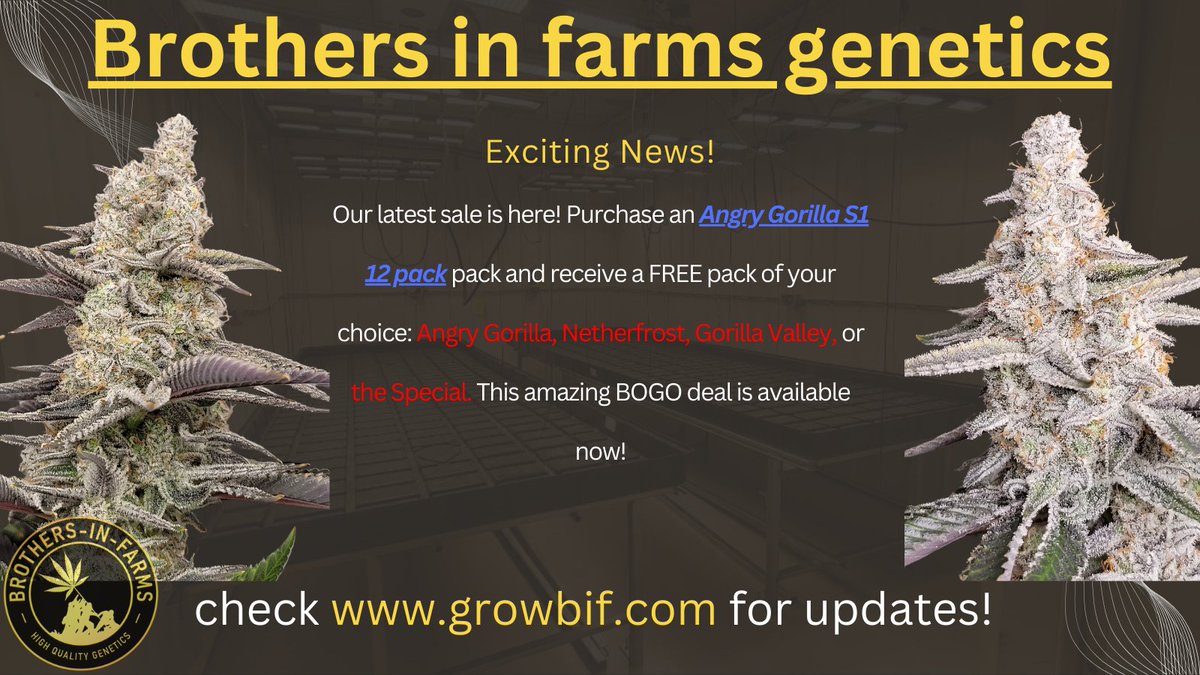 sugarleafpacks tweet media