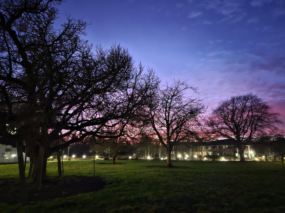 Christine Stewart tweet media