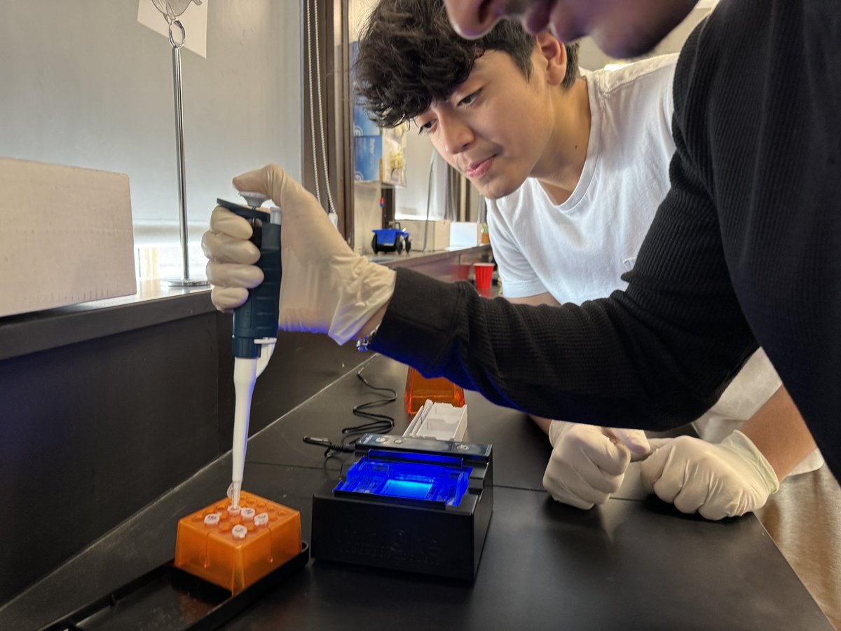 MrArsenie's tweet image. Fantastic lab session today with my @CarlSchurzHS #dpbio #ibbio students running two DNA fingerprinting scenarios via @MiniOneSystem Super proud of my students who practiced new techniques and skills! Tomorrow we debrief!