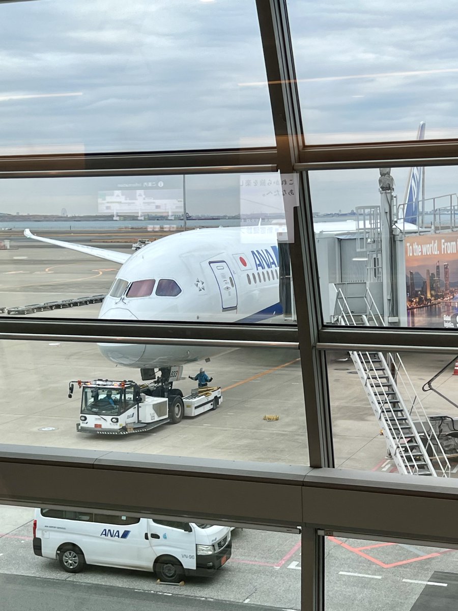 iso_pyon's tweet photo. 今年初の遠征
#こりゃもてんばい4 & 福岡の名店事始め
#ANA #NH243 #HND
#B787_9 #JA833A
#トレント1000 #ロールス・ロイス
#ROLLS_ROYCE #Trent1000 https://t.co/ygbzCiGfYf
