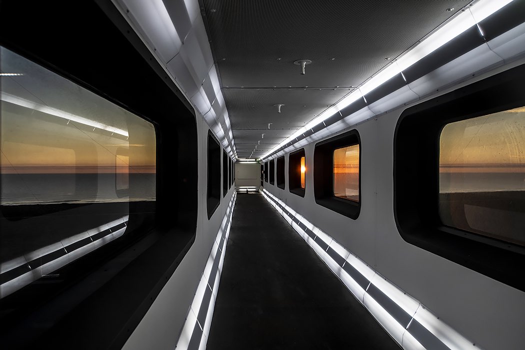 Haley Esparza tweet media