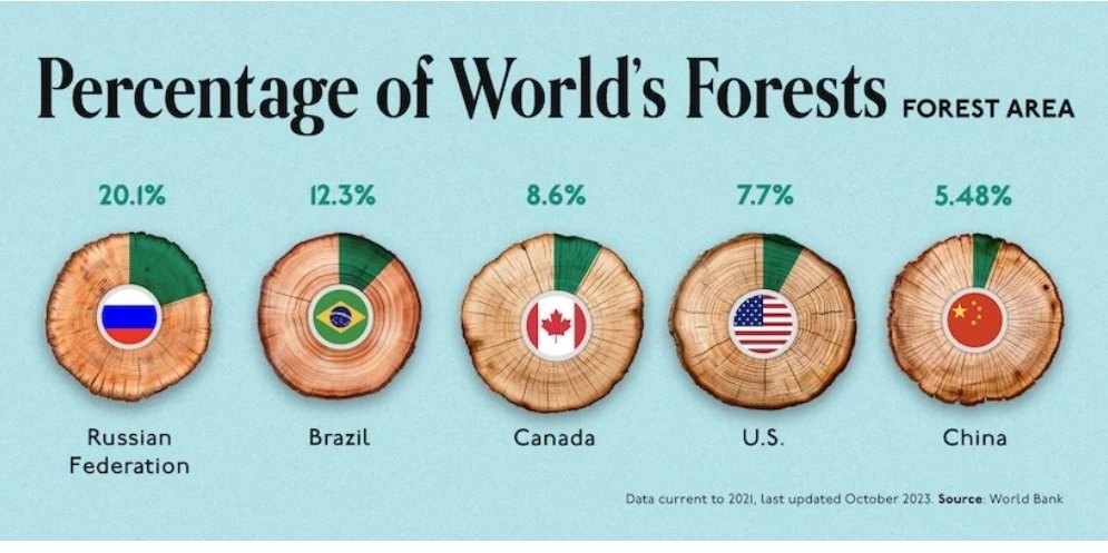 # Save the earth tweet media