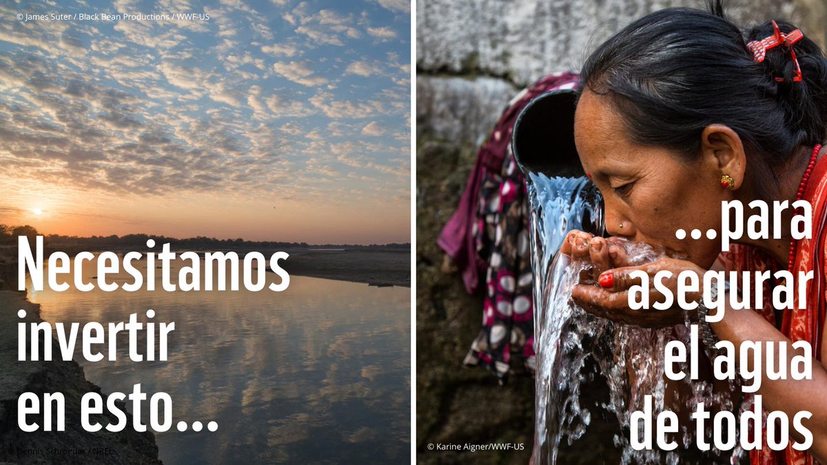 WWF_LAC's tweet photo. Los humedales son importantes porque...

🌎Sustentan 40% de todas las especies
🌡️Son vitales para defendernos contra inundaciones y ser resilientes ante sequías
🍚⅓ de la producción de alimentos depende de los ríos

¡Debemos protegerlos y restaurarlos!
#DíaMundialDeLosHumedales https://t.co/IfmNMSY6dk