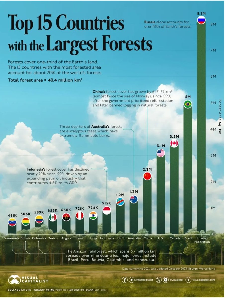 To further understand the catastrophe Since the post-glacial era, more than 2 billion hectares of forest have been lost (equivalent to all the current tropical deserts) more than half of which were lost after 1900 This is the biggest problem with the Earth's inability to recover