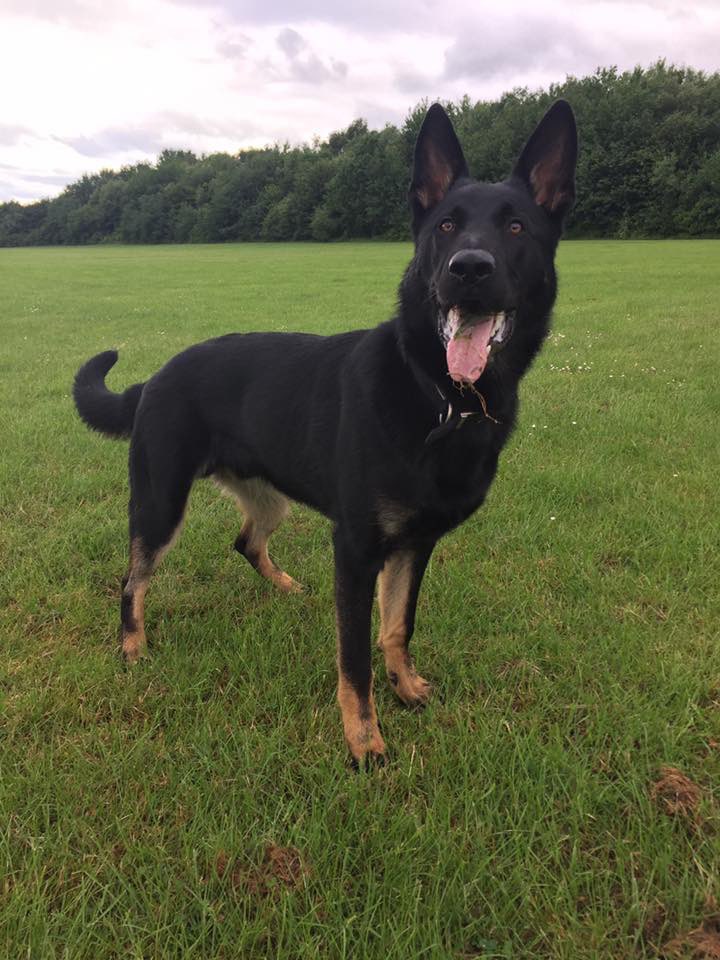 RPD_Logan tweet media