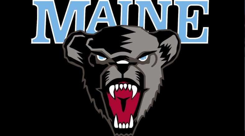 Nikolas Engelmore tweet media