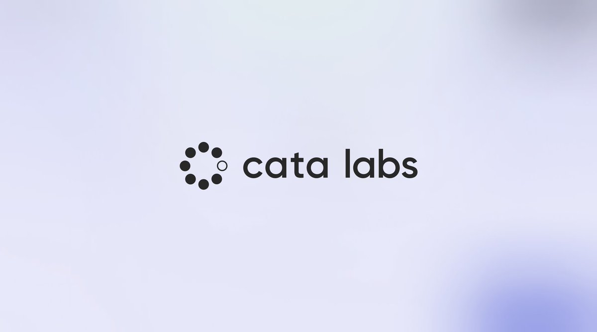 Cata Labs tweet media