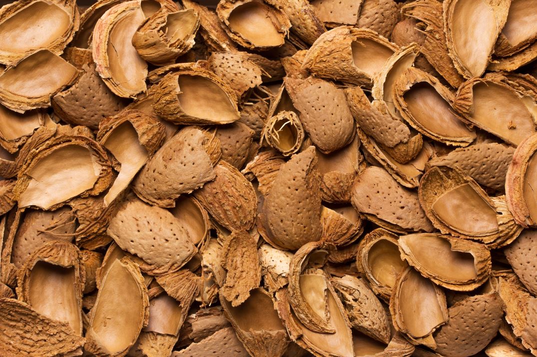 USDA_APHIS's tweet photo. New Markets: China expanded its animal feed ingredient catalog to include almond hulls & almond hulls with shells. Now U.S. farmers can export almond pellets and cubes, with six California almond facilities already approved for export.
#USDAtrade #USAgriculture @USDAForeignAg https://t.co/eI0bwARxtz