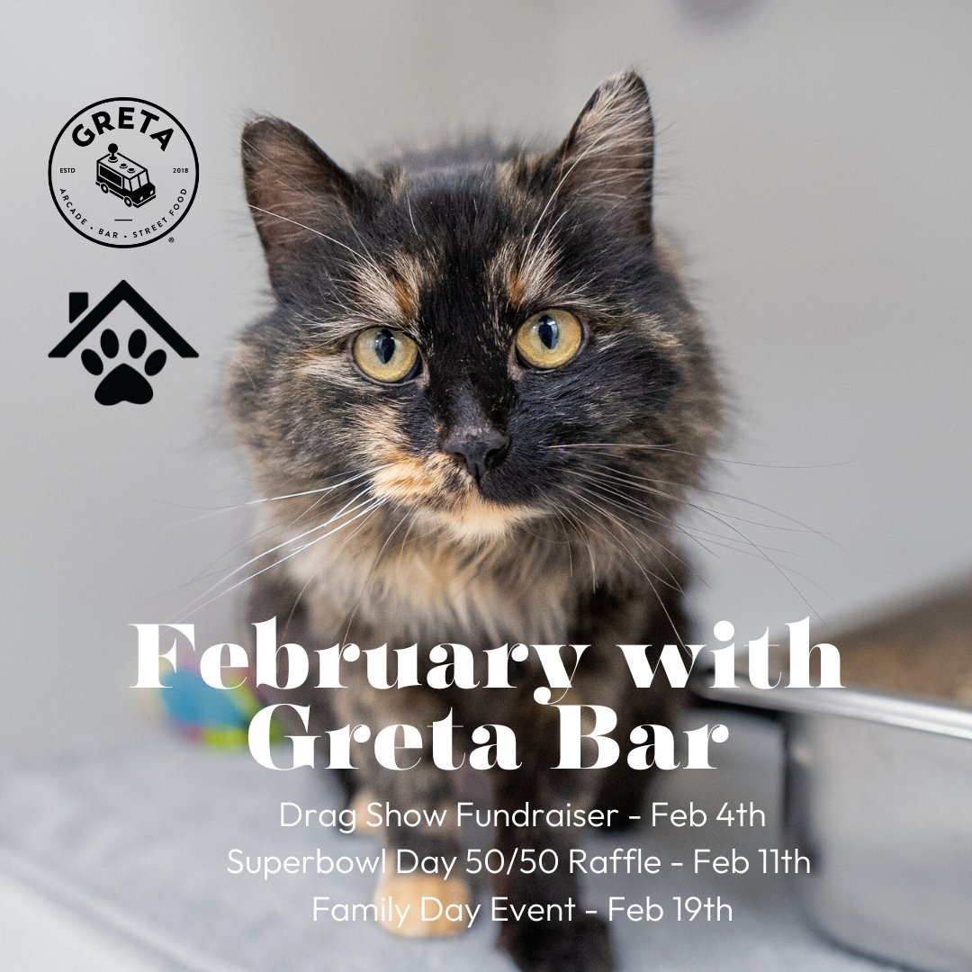 CalgaryHumane's tweet photo. It's #ThankfulThursday! ✨Thank you to GRETA Bar, who are fundraising this Feb for CHS! They are hosting 3 events over Feb with some of the proceeds going towards the shelter to help our animals! 

Join the party and support CHS today! Reach out to Greta for more info!

#YYC https://t.co/K4DlYvADtZ