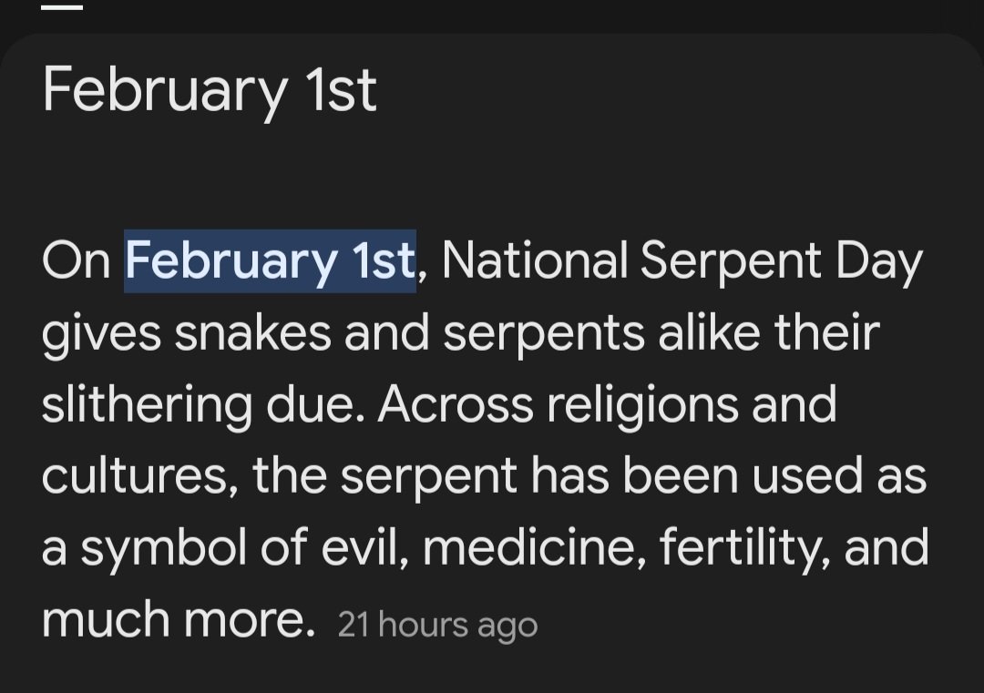 FizzyFrogCam's tweet photo. To those that got sir pentious trending👀 it's national Serpent day👀

Then again maybe further reason he kicks it😭 https://t.co/ynelsp5kFV